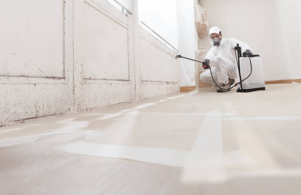 24/7 Emergency Mold Remediation experts in Mesquite, TX