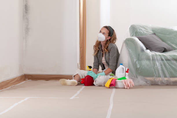 Reliable Mold Remediation contractor in Mesquite, TX by Mold Remediation HQ